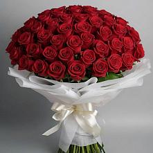 Букет 101 Красная роза Блэк Мэджик в Старокучергановке
