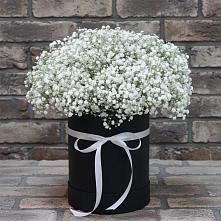 Цветочная композиция из Гипсофила в шляпной коробке #REPLACE_PRED# Старокучергановке